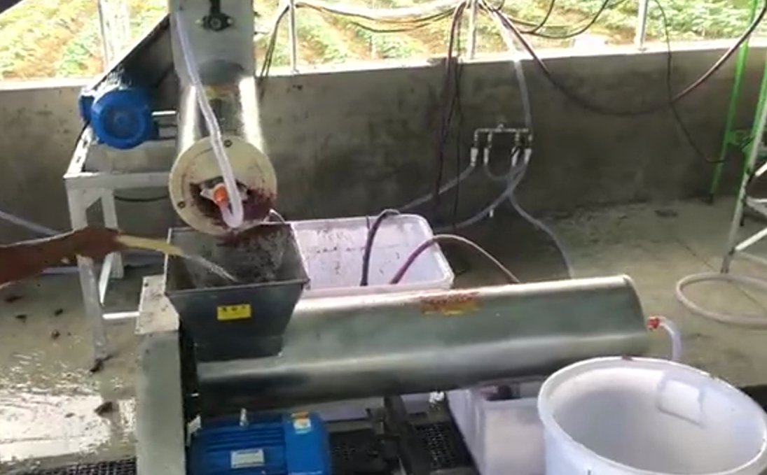 1733210098362635.png 1-210P1141H0V0.png